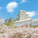 姫路城と桜